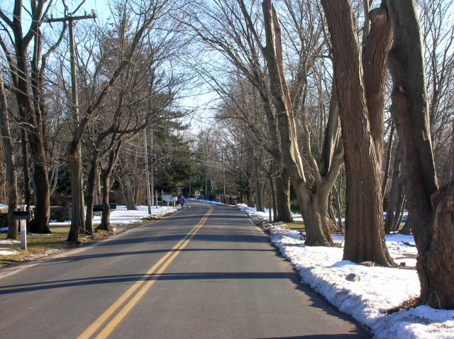 Long Neck Road (MT)